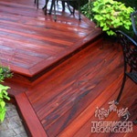 Tigerwood Hardwood Deck